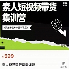 夜草与千里马素人短视频带货集训营，薛辉团队价值599元